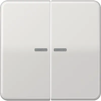 JUNG schakelwip 2-voudig met controlevenster voor HOME draadloze schakelaar CD500 lichtgrijs (CD 102 KO5 LG)