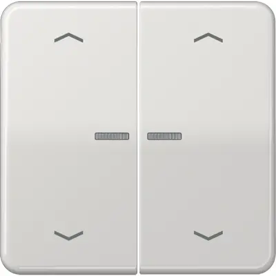 JUNG schakelwip 2-voudig met controlevenster en pijlsymbolen voor HOME draadloze schakelaar CD500 lichtgrijs (CD 102 KO5P LG)