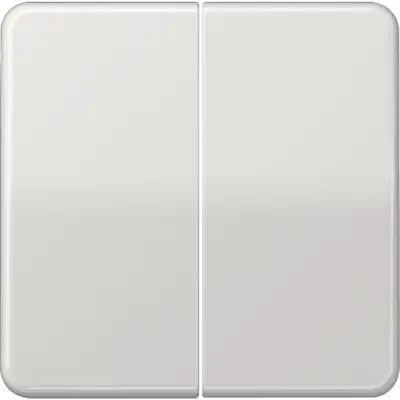 JUNG wip cd500 li gr knx f10 taster (CD 102 LG)
