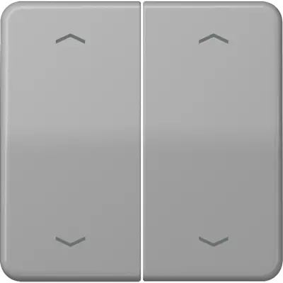 JUNG wip cd500 gr pijl knx f10 tas (CD 102 P GR)