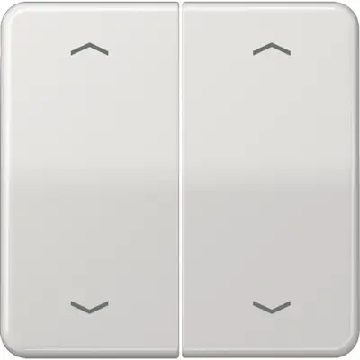 JUNG wip cd500 lg pijl knx f10 tas (CD 102 P LG)