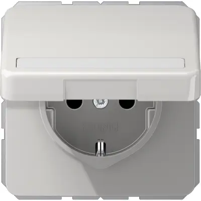 JUNG wandcontactdoos randaarde Safety+ met tekstvenster en klapdeksel CD500 lichtgrijs (CD 1520 NBFNAKL LG)