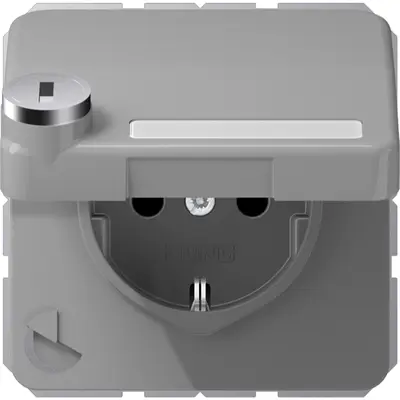 JUNG wandcontactdoos randaarde Safety+ klapdeksel tekstvenster slot CD500 grijs (CD 1520 NNAKLSL GR)