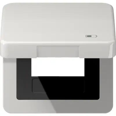 JUNG klapdeksel met USB-ladersymbool CD500 lichtgrijs (CD 590 KL USB LG)
