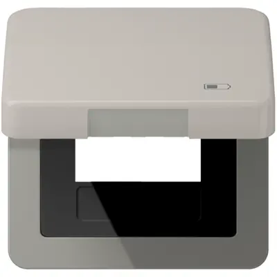 JUNG klapdeksel met USB-ladersymbool CD500 platina (CD 590 KL USB PT)