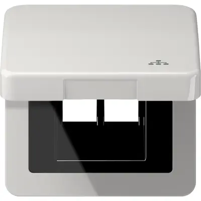 JUNG klapdeksel met LAN-symbool CD500 lichtgrijs (CD 590 KL LAN LG)