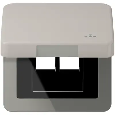 JUNG klapdeksel met LAN-symbool CD500 platina (CD 590 KL LAN PT)