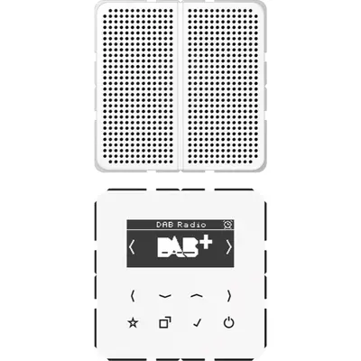 JUNG smart radio DAB+ set met 1 luidspreker CD500 alpine wit (DAB CD1 WW)