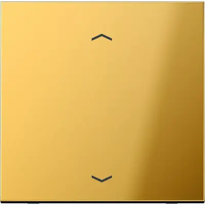 JUNG wip ls-goudkl m pijl knx f10 t (GO 101 P)