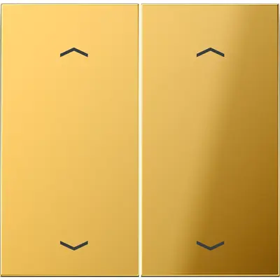 JUNG wip ls-goudkl m pijl knx f10 t (GO 102 P)