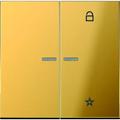 JUNG stuurafdek ls-goudkleurig univ (GO 1701)