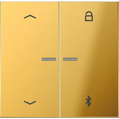 JUNG timer ls-goudkleurig univ bt p (GO 1751 PBT)