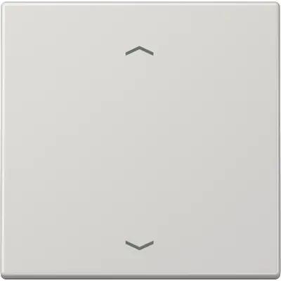 JUNG wip ls990 lg pijl knx f10 tas (LS 101 P LG)