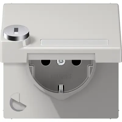 JUNG wandcontactdoos randaarde Safety+ klapdeksel tekstvenster slot LS990 lichtgrijs (LS 1520 NNAKLSL LG)