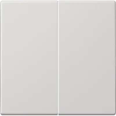 JUNG bedieningselement 2-voudig voor KNX taster F10 LS990 lichtgrijs (LS 102 LG)