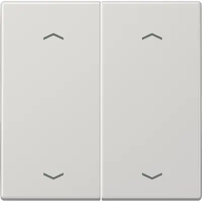 JUNG bedieningselement 2-voudig met pijlsymbolen voor KNX taster F10 LS990 lichtgrijs (LS 102 P LG)