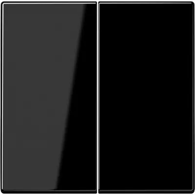 JUNG bedieningselement 2-voudig voor KNX taster F10 LS990 zwart glans (LS 102 SW)
