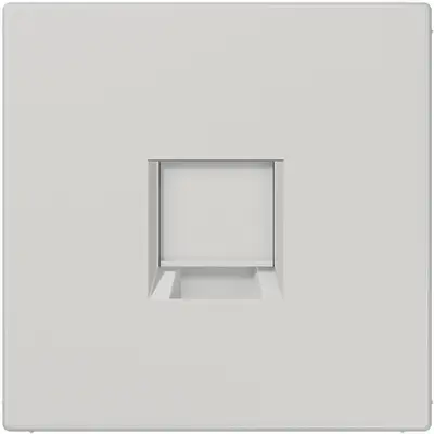 JUNG centraalplaat met draagring 1-voudig voor modulair jack LS990 lichtgrijs (LS 1969-15 WE LG)