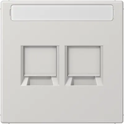 JUNG centraalplaat 2-voudig modular-jack tekstvenster LS990 lichtgrijs (LS 1969-2 NA WE LG)