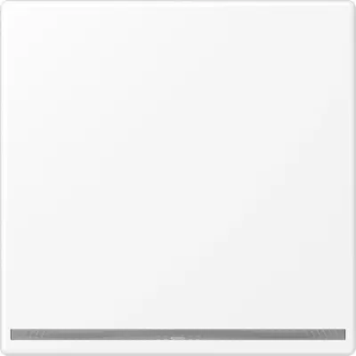 JUNG LED-orientatieverlichting zonder lichtsensor LS990 sneeuwwit mat (LS 1539-OO WWM LNW)