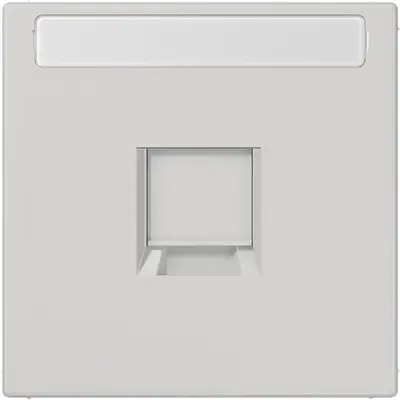 JUNG centraalplaat met tekstvenster en draagring 1-voudig voor modulair jack LS990 lichtgrijs (LS 1969-15 NA WE LG)