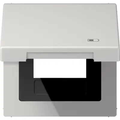 JUNG klapdeksel met USB-ladersymbool LS990 lichtgrijs (LS 990 BFKL USB LG)