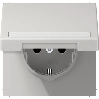 JUNG klapdeksel met tekstvenster voor wandcontactdoos en centraaldelen van 50 x 50 mm LS990 lichtgrijs (LS 990 BFNAKL LG)
