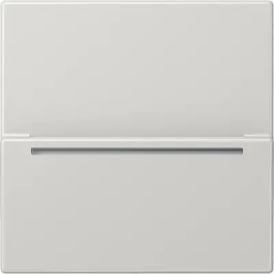 JUNG hotelcard-schakelaar rfid ls99 (LS CARD RFID LG)