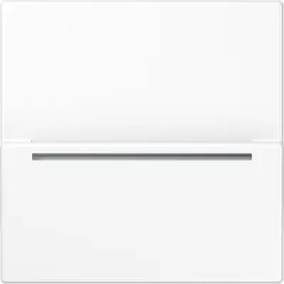 JUNG hotelcard-schakelaar rfid ls99 (LS CARD RFID WW)