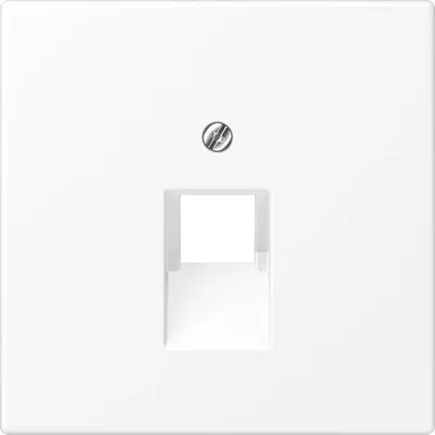 JUNG centraalplaat 1-voudig tbv RJ45 wandcontactdoos LS990 sneeuwwit mat (LS 969-1 UA WWM)