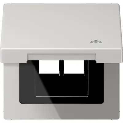 JUNG klapdeksel met LAN-symbool LS990 lichtgrijs (LS 990 BFKL LAN LG)