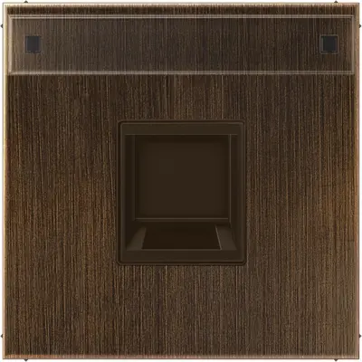 JUNG centraalplaat met tekstvenster en draagring 1-voudig voor modulair jack LS990 messing antiek (ME 1969-15 NA WE AT)