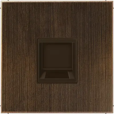 JUNG centraalplaat met draagring 1-voudig voor modulair jack LS990 messing antiek (ME 1969-15 WE AT)