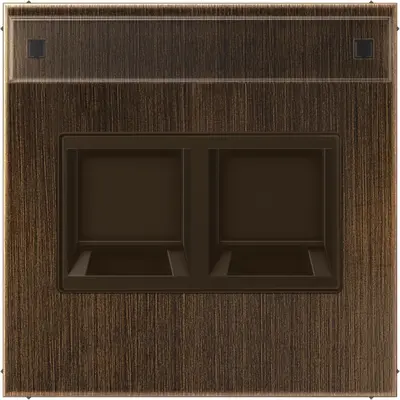 JUNG centraalplaat met tekstvenster en draagring 2-voudig voor modulair jack LS990 messing antiek (ME 1969-25 NA WE AT)