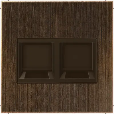 JUNG centraalplaat met draagring 2-voudig voor modulair jack LS990 messing antiek (ME 1969-25 WE AT)