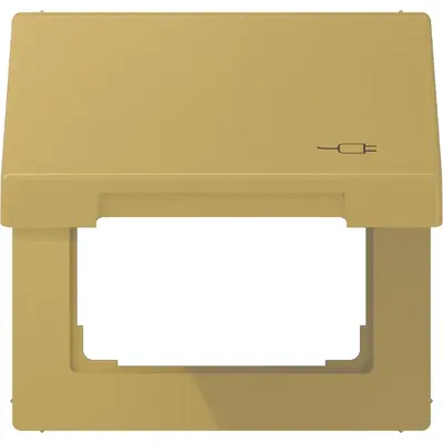 JUNG klapdeksel voor wandcontactdoos van 50 x 50 mm met stekkersymbool LS990 messing klassiek (ME 2990 KL SOC C)