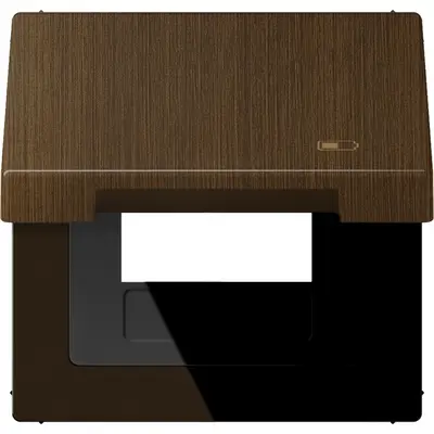 JUNG klapdeksel met USB-ladersymbool LS990 messing antiek (ME 2990 KL USB AT)