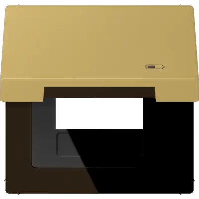 JUNG klapdeksel met USB-ladersymbool LS990 messing klassiek (ME 2990 KL USB C)