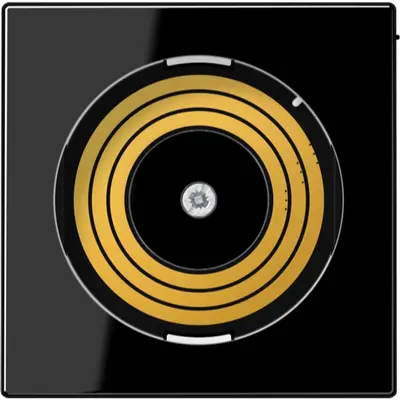 JUNG afdekking a500 zw pl08u (PL A DMS SW)