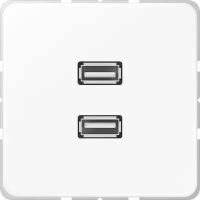 JUNG centraalplaat met draagring en 2 x USB-A naar USB-A koppeling CD500 alpine wit (MA CD 1153 WW)