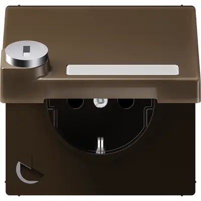 JUNG wandcontactdoos randaarde Safety+ klapdeksel tekstvenster slot LS990 messing antiek (ME 1520 NNAKLSL AT)