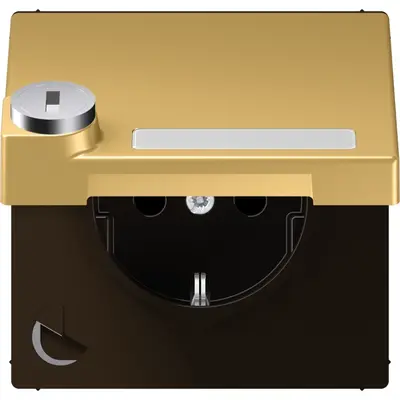 JUNG wandcontactdoos randaarde Safety+ klapdeksel tekstvenster slot LS990 messing klassiek (ME 1520 NNAKLSL C)