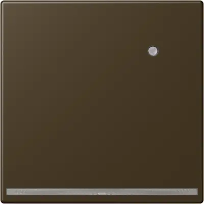 JUNG LED-orientatieverlichting met geïntegreerde lichtsensor LS990 messing antiek (ME 1539-O AT LNW)