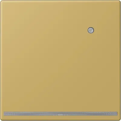 JUNG LED-orientatieverlichting met geïntegreerde lichtsensor LS990 messing klassiek (ME 1539-O C LNW)