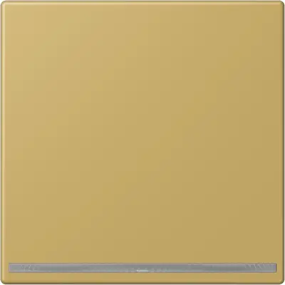 JUNG LED-orientatieverlichting zonder lichtsensor LS990 messing klassiek (ME 1539-OO C LNW)