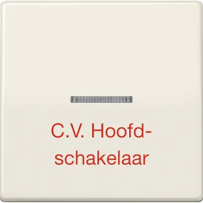 JUNG schakelwip 1v met lens sonst (AS 591 BFCV)
