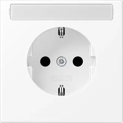 JUNG wandcontactdoos met beschermin (LS 1520 NA WWM)