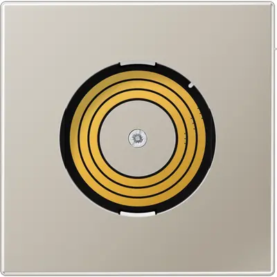 JUNG afdekking ls-edelstaal pl0 (PL ES DMS-L)