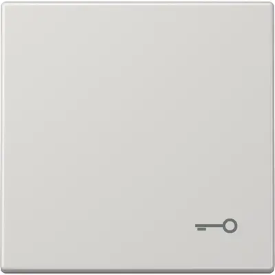 JUNG schakelwip met sleutelsymbool LS990 lichtgrijs (LS 990 T LG)