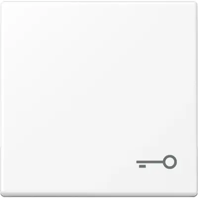 JUNG schakelwip met sleutelsymbool A-range sneeuwwit mat (A 590 T WWM)